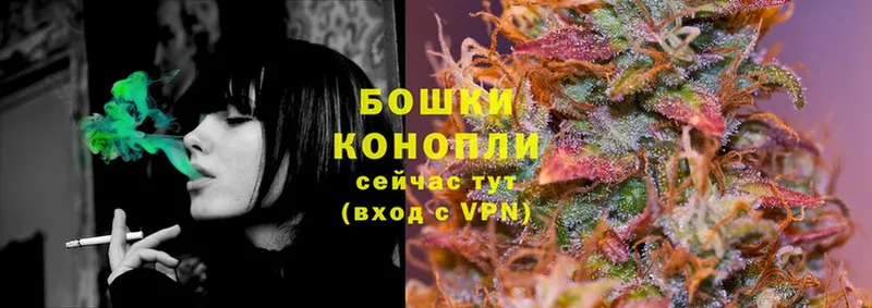 Каннабис SATIVA & INDICA  Макушино 